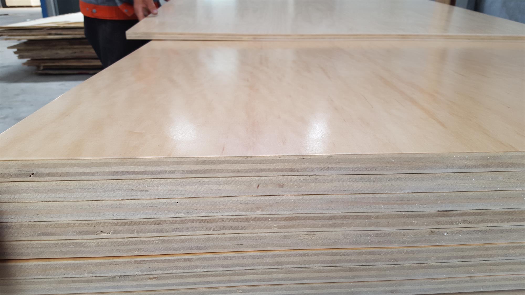 Pine