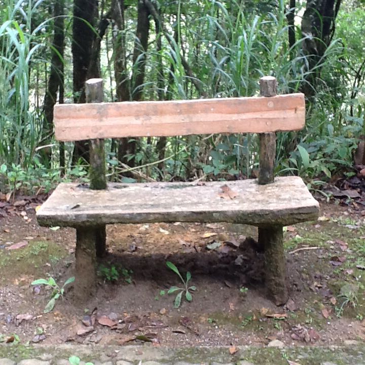 environment